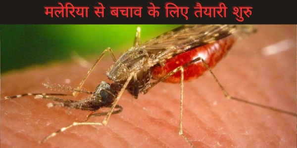 Noida